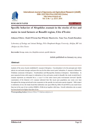 Specific behavior of Sitophilus zeamais in the stocks of rice and maize in rural