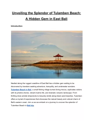 Unveiling the Splendor of Tulamben Beach_ A Hidden Gem in East Bali