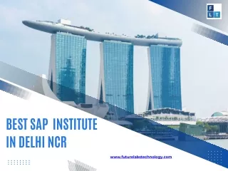 Boost Your SAP Experience: In Delhi NCR, go with Future Labs Technology.