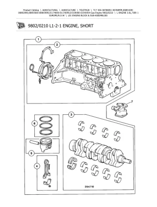 JCB TLT 30G (Gas Engine) Teletruk Parts Catalogue Manual (Serial Number 00891000-00892999)