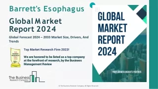 Barrett's Esophagus Market Size, Share, Overview, Industry Forecast By 2033