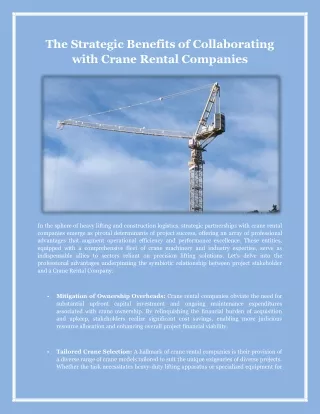 The Strategic Benefits of Collaborating with Crane Rental Companies