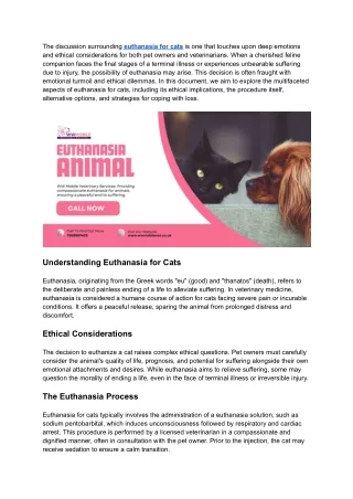 Exploring Euthanasia for Cats | WW Mobile Veterinary Services