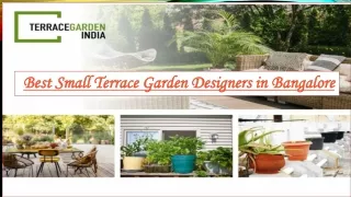 Best Small Terrace Garden Designers in Bangalore