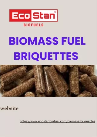 Eco-Friendly Energy: Harnessing Biomass with Fuel Briquettes