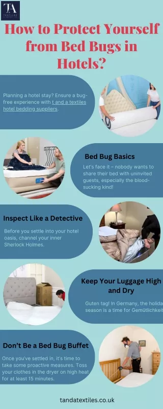How to Protect Yourself from Bed Bugs in Hotels