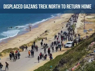 Displaced Gazans trek north to return home