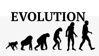 EVOLUTION class 12- Presentation