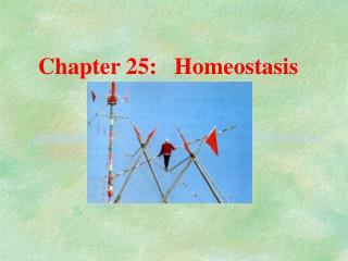 Chapter 25: Homeostasis