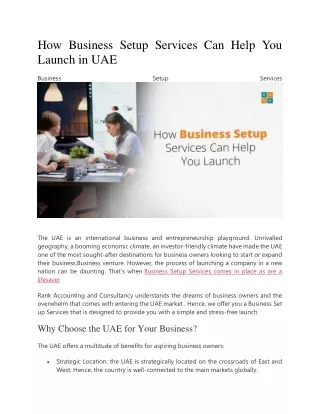 How Business Setup Services Can Help You Launch in UAE