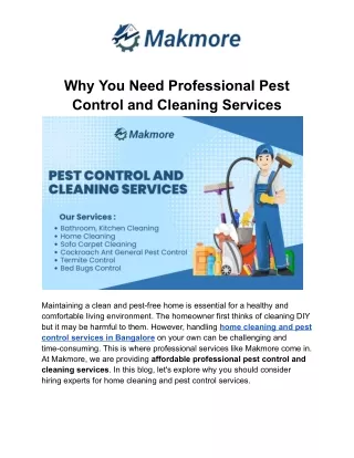 Why You Need Professional Pest Control and Cleaning Services