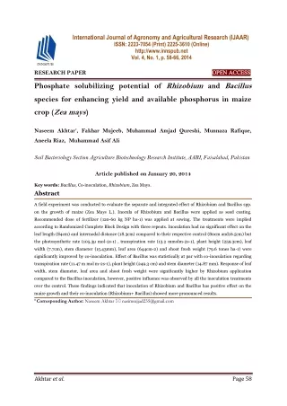 Phosphate solubilizing potential of Rhizobium and Bacillus species for enhancing