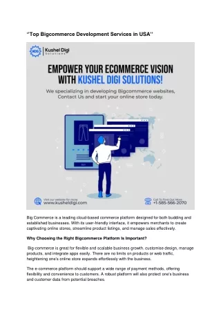 TOP BIGCOMMERCE DEVELOPMENT SERVICES IN USA