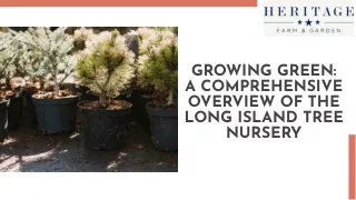 Nurturing Nature's Beauty: Long Island's Tree Nursery Selections