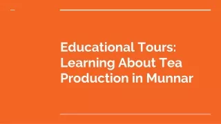 Educational Tours: Learning About Tea Production in Munnar