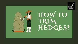 Mastering the Art of Hedge Trimming: A Comprehensive Guide