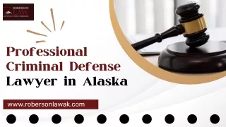 Professional Criminal Defense Lawyer in Alaska