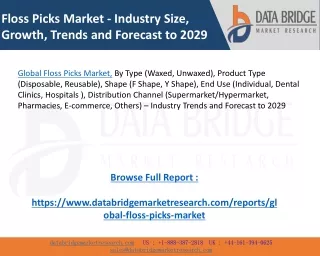 Global Floss Picks Market