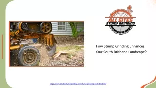 How Stump Grinding Enhances Your South Brisbane Landscape