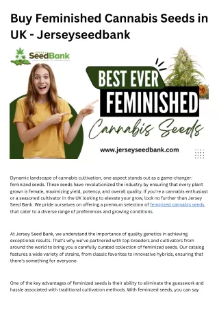 Buy Feminished Cannabis Seeds in UK - Jerseyseedbank (1)