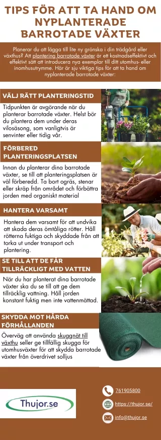 Tips för att ta hand om nyplanterade barrotade växter
