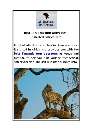 Best Tanzania Tour Operators  Itstartedinafrica.com