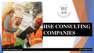 HSE CONSULTING COMPANIES