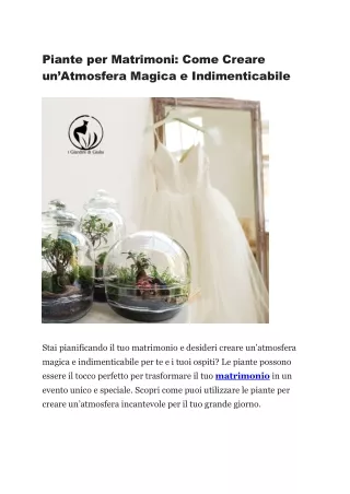 matrimonio