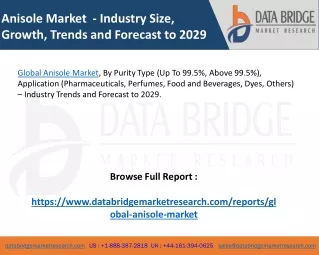 Global Anisole Market