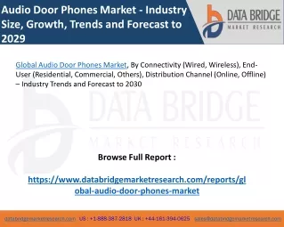 Global Audio Door Phones Market