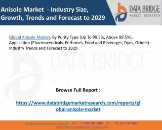 Global Anisole Market