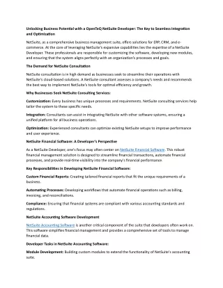 Unlocking Business Potential with a NetSuite Developer