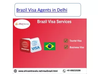 Brazil Visa Agents in Delhi