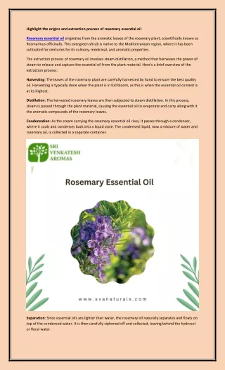 rosemary essential oil