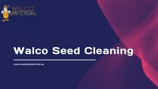 Harvesting Purity The Art and Science of Grain Cleaning