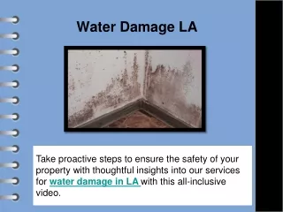 Water Damage LA