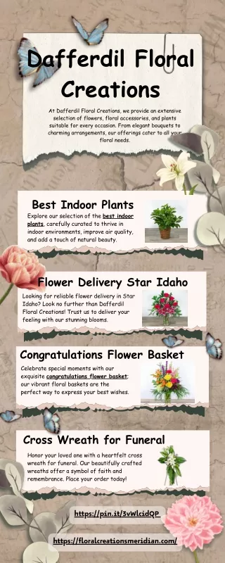 Best Indoor Plants