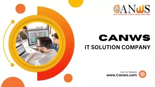 Best It Solution Company in The Mohali