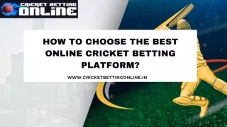 How to Choose the Best Online Cricket Betting Platform?