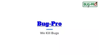 Bug-Pro Your Trusted Pest Control Solution in Nigeria