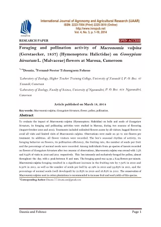 Foraging and pollination activity of Macronomia vulpina (Gerstaecker, 1857)