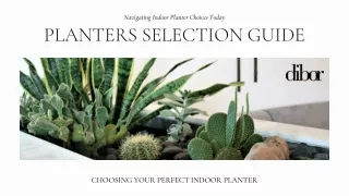 Comprehensive Guide to Choosing Indoor Planters