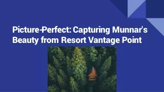 Picture-Perfect: Capturing Munnar's Beauty from Resort Vantage Point