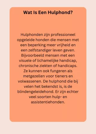 Wat Is Een Hulphond.