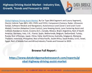 Global Highway Driving Assist Market