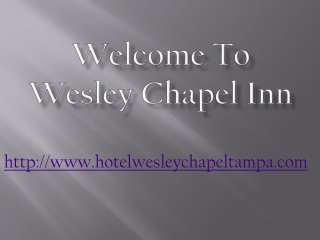 Holiday Inn wesley chapel