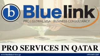 PRO  SERVICES IN QATAR