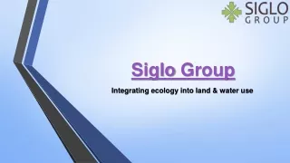 Unlocking Sustainable Futures Siglo Group's Ecosystem Planning & Restoration in