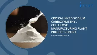 Cross-Linked Sodium Carboxymethyl Cellulose Manufacturing Plant Project Report