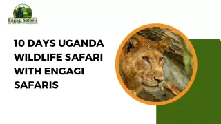 10 Days Uganda Wildlife Safari with Engagi Safaris